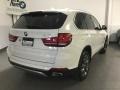 Alpine White - X5 xDrive35i Photo No. 8