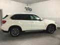 Alpine White - X5 xDrive35i Photo No. 9