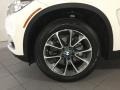 Alpine White - X5 xDrive35i Photo No. 33