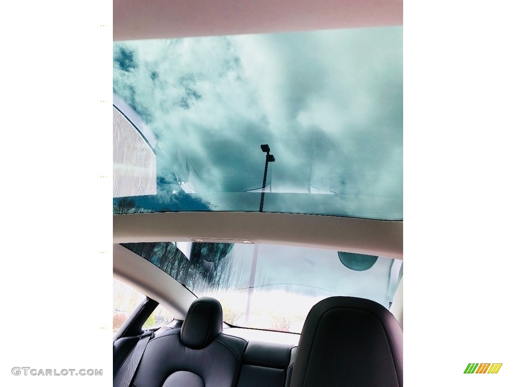 2018 Tesla Model 3 Long Range Sunroof Photo #126599297