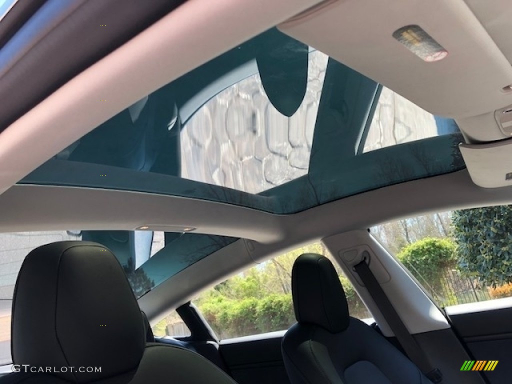 2018 Tesla Model 3 Long Range Sunroof Photo #126599435