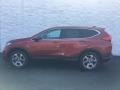 Molten Lava Pearl - CR-V EX AWD Photo No. 7