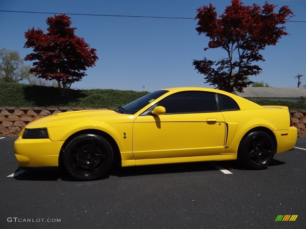 2004 Mustang Cobra Coupe - Screaming Yellow / Dark Charcoal photo #1