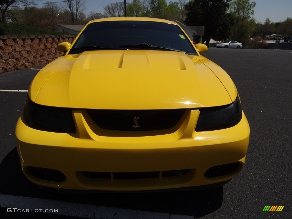 2004 Mustang Cobra Coupe - Screaming Yellow / Dark Charcoal photo #12