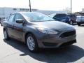 Magnetic - Focus SE Sedan Photo No. 1