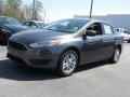 Magnetic - Focus SE Sedan Photo No. 5