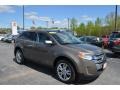 2014 Mineral Gray Ford Edge Limited #126648565