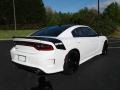 White Knuckle - Charger Daytona 392 Photo No. 6