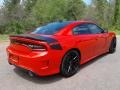 Torred - Charger Daytona 392 Photo No. 6