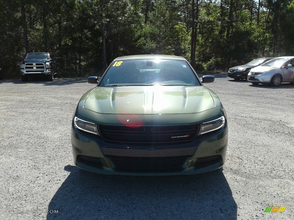 2018 Charger SXT - F8 Green / Black photo #8