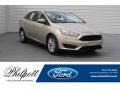 White Gold - Focus SE Sedan Photo No. 1