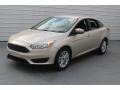 White Gold - Focus SE Sedan Photo No. 3