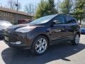 2013 Kodiak Brown Metallic Ford Escape SEL 2.0L EcoBoost 4WD  photo #2