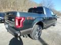 2018 Guard Ford F150 King Ranch SuperCrew 4x4  photo #3