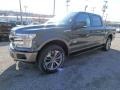 2018 Guard Ford F150 King Ranch SuperCrew 4x4  photo #7
