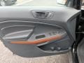 Ebony Black/Copper 2018 Ford EcoSport SES 4WD Door Panel