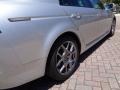 2007 Alabaster Silver Metallic Acura TL 3.5 Type-S  photo #21
