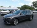 Granite Crystal Metallic - Cherokee Latitude Plus Photo No. 1