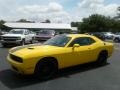 Yellow Jacket - Challenger SXT Photo No. 1