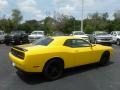 Yellow Jacket - Challenger SXT Photo No. 5