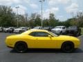 Yellow Jacket - Challenger SXT Photo No. 6