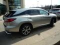 Atomic Silver - RX 350L AWD Photo No. 7
