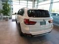 Alpine White - X5 xDrive35i Photo No. 2