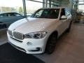Alpine White - X5 xDrive35i Photo No. 3