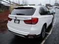 Alpine White - X5 xDrive35i Photo No. 3