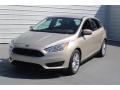 White Gold - Focus SE Hatch Photo No. 3