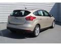 White Gold - Focus SE Hatch Photo No. 8