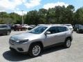 2019 Billet Silver Metallic Jeep Cherokee Latitude  photo #1