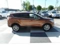 2017 Canyon Ridge Ford Escape SE  photo #3