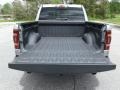 Mountain Brown/Light Frost Beige Trunk Photo for 2019 Ram 1500 #126833297