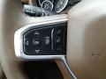 Mountain Brown/Light Frost Beige Controls Photo for 2019 Ram 1500 #126833411