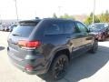 Rhino - Grand Cherokee Laredo 4x4 Photo No. 5