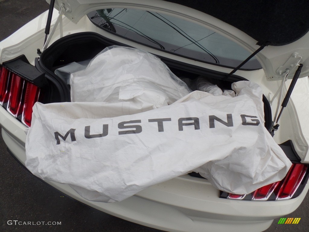 2015 Mustang 50th Anniversary GT Coupe - 50th Anniversary Wimbledon White / 50th Anniversary Cashmere photo #17