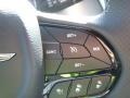 2018 Copper Pearl Chrysler Pacifica Limited  photo #18