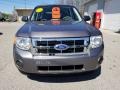 2010 Ingot Silver Metallic Ford Escape XLS  photo #3