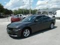 Granite Pearl - Charger SXT Photo No. 1
