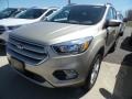 White Gold - Escape SE 4WD Photo No. 1