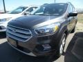 2018 Magnetic Ford Escape SE 4WD  photo #1