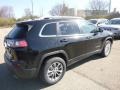 2019 Diamond Black Crystal Pearl Jeep Cherokee Latitude Plus 4x4  photo #5