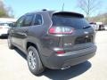 2019 Granite Crystal Metallic Jeep Cherokee Latitude Plus 4x4  photo #3