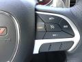 Black Controls Photo for 2018 Dodge Charger #126930153