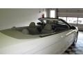 Stone White - Sebring LX Convertible Photo No. 19