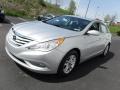 Radiant Silver - Sonata GLS Photo No. 5