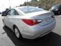 Radiant Silver - Sonata GLS Photo No. 6