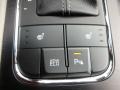 Camel Beige Controls Photo for 2018 Kia Sedona #126979658