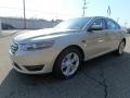 2017 White Gold Ford Taurus SEL AWD  photo #7